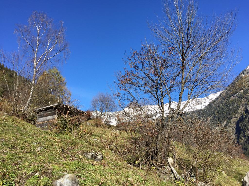 Appart Kalsberger Kaunertal Zimmer foto